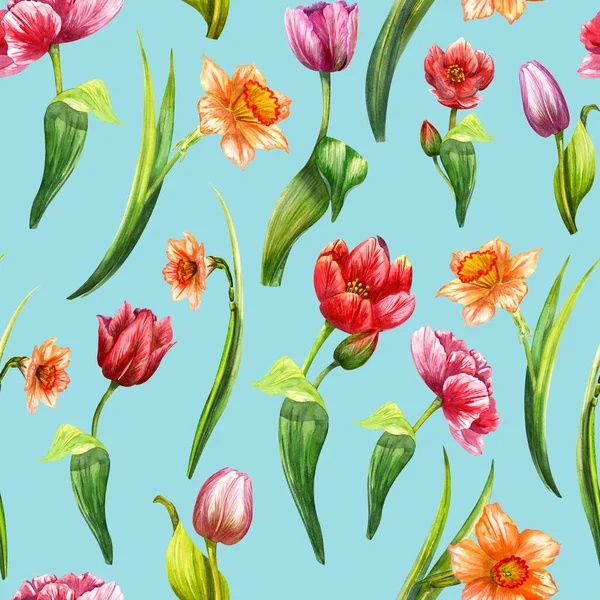 Watercolor pattern seamless tulips daffodils on a fresh bright blue background. Isolated flowers. — Stock Photo, Image