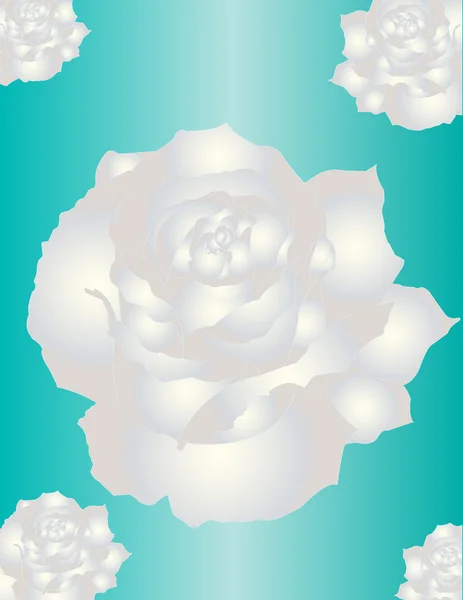 White Roses — Stock Vector