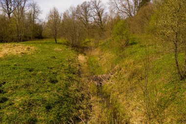 Yaz günlerinde nehirdeki küçük kunduzların insansız hava aracı görüntüsü.