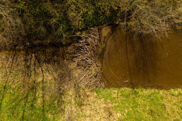 Drone Uitzicht Kleine Beverdammen Een Rivier Tijdens Zomerdagen — Stockfoto