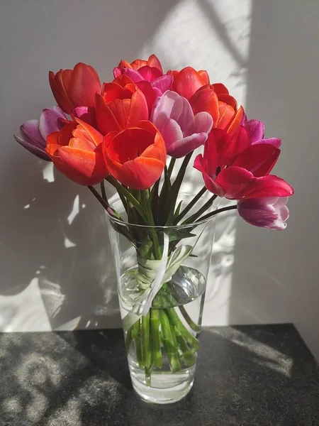 Cam bir vazoda kırmızı ve mor laleler.