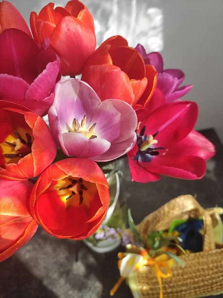 Cam vazoda parlak kırmızı laleler