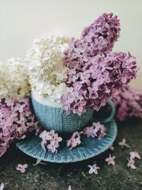 Açık arkaplanda mavi bir kaptaki güzel çiçekler. 