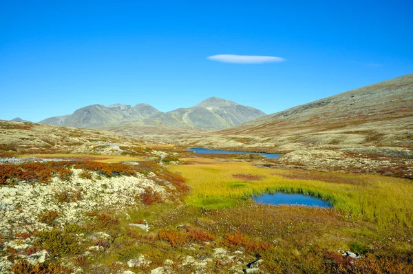 Rondane — Stock fotografie