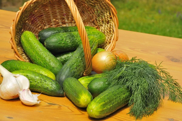 Cucumbers — Stock Photo, Image