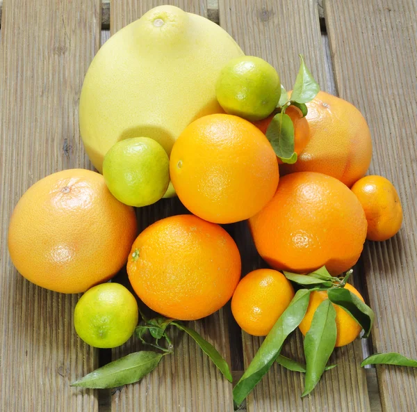 Various citrus fruits — Stock Photo, Image
