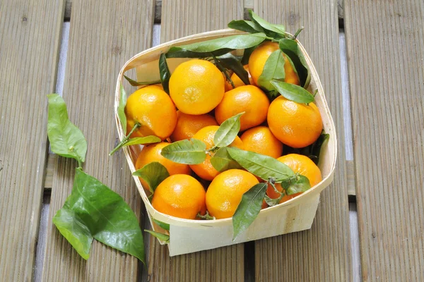 Clementines — Stock Photo, Image