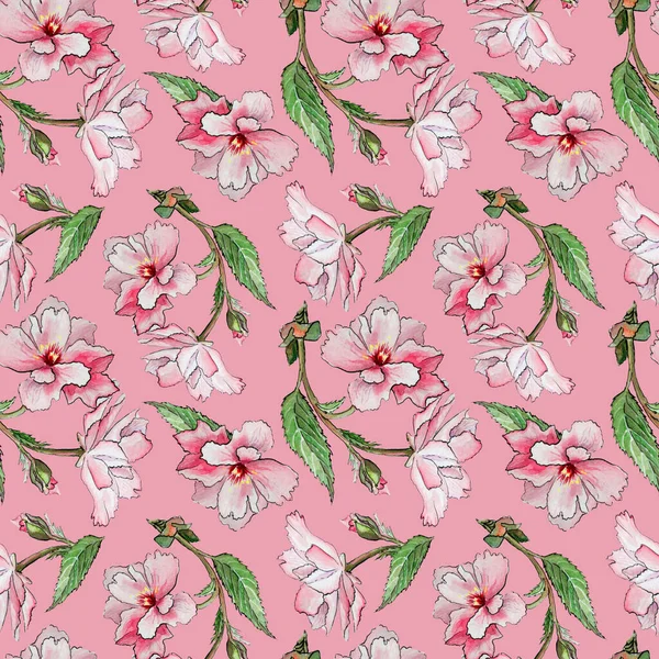 Patrón de costuras con sakura japonesa de primavera con flores rosadas sobre fondo rosa. Ilustración floral de flores de cerezo dibujadas a mano. —  Fotos de Stock