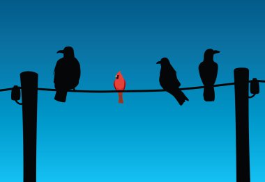 Birds on wire clipart