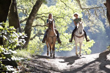 Horseback riders on the trail clipart