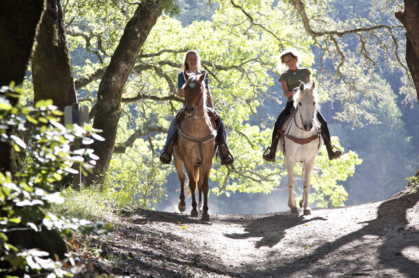 Horseback riders on the trail