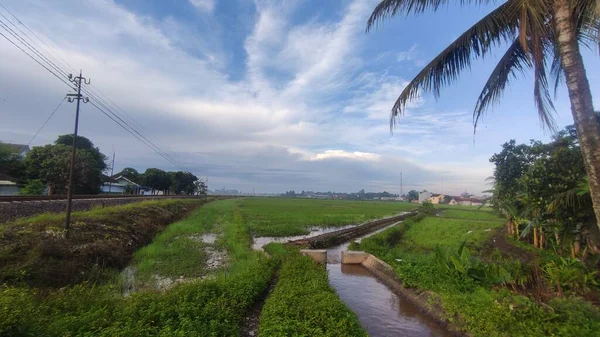 Kanal Sungai Yang Mengairi Sawah Dan Ladang — Stok Foto