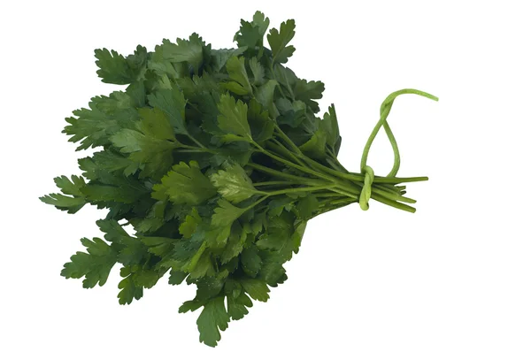 düz yaprak maydanoz