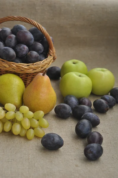 çuval bezi üzerinde meyve