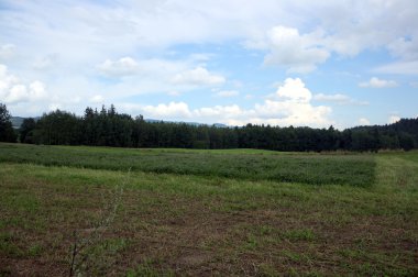 dağ manzarası üzerinde göster