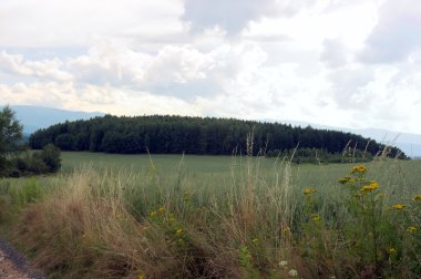 dağ manzarası üzerinde göster
