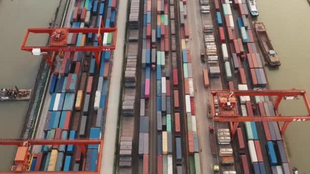 Kontenery Port Morski Handel Logistyka — Wideo stockowe