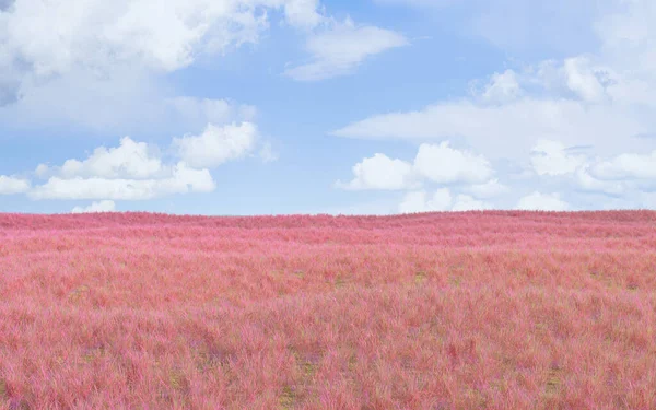 ピンクの草原と屋外の背景 3Dレンダリング コンピュータ デジタル ドローイング — ストック写真
