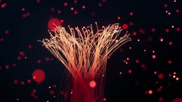 Glowing Particles Lines Black Background Rendering — Stock Video