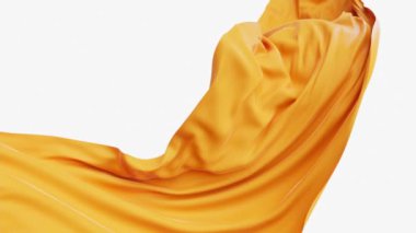 Akan dalga bezi, 3D görüntüleme.