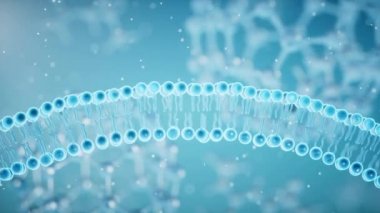 Cell membrane with blue background, 3d rendering.