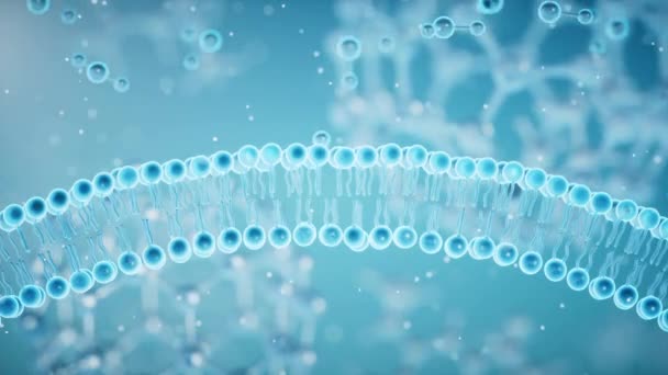 Cell Membrane Absorb Molecules Rendering — Vídeo de Stock