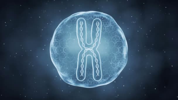 Органічна Сфера Хромосомою Всередині Рендеринг — стокове відео