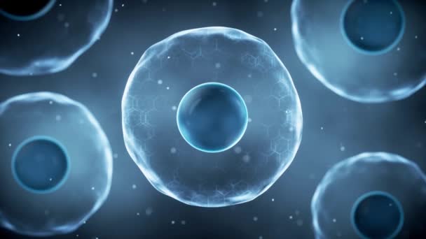 Biological Cell Thin Film Rendering — Vídeo de stock