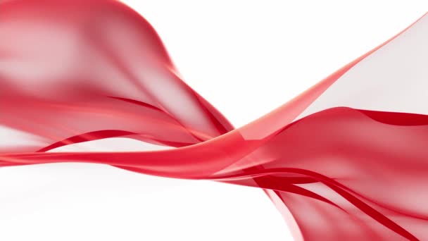 Flowing Red Cloth Background Rendering — Stock Video