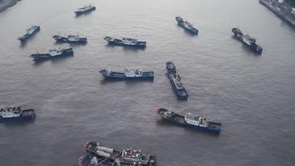 Barche Pesca Sul Mare Taizhou Zhejiang — Video Stock