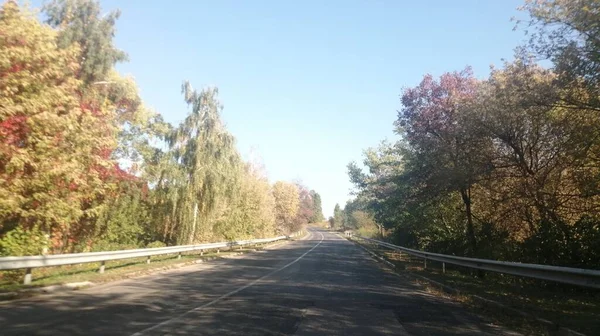 Autumn Forest Road Ukraine Vytachiv — Stock Photo, Image