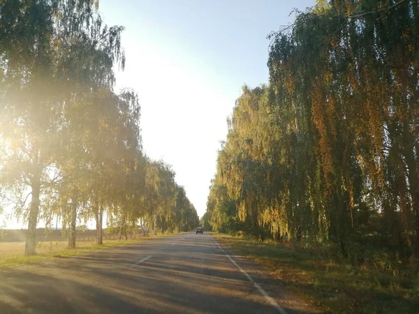 Autumn Road Ukraine Vytachiv — Photo