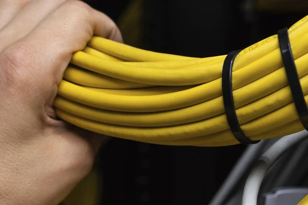 Sarı ethernet kablolarının yakın görüntüsü. Ağ konsepti.
