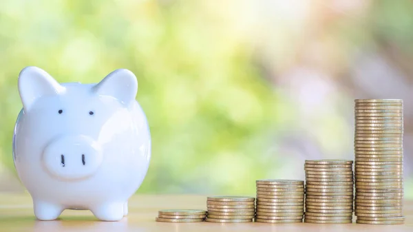 Coins stack 4 rows of gold coins and a white piggy bank placed on a wooden table to save money invest for future. Concept for loan, property ladder, financial, real estate investment, taxes and bonus.