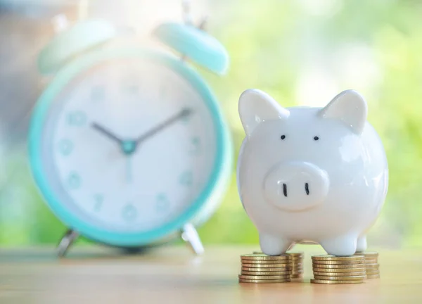 White Piggy Bank Gold Coins Stack Rows Alarm Clock Placed — Stockfoto