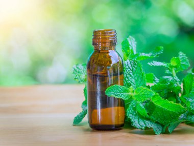 Nane şekeri özü, küçük bir şişede, ahşap masanın üzerinde nane yaprağı yanında. Cam damlacıktan organik biyo-alternatif tıbba dökülen temel yağ, kahverengi şişe..