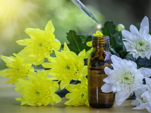 Essential Oils Extract Medical Flowers Herbs White Yellow Flower Wooden — Stock Photo, Image