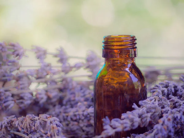 Lavender extract in small bottle near flowering lavender on wooden table with aromatherapy. Essential oil falling from glass dropper into organic bio alternative medicine, brown bottle feel relaxed.
