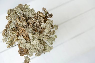 Beyaz ahşap arka planda beyaz bir vazoda beyaz, kahverengi ve bej renkli çiçeklerden oluşan bir buket. Kart, İç dekorasyon.