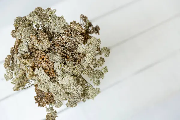 Beyaz ahşap arka planda beyaz bir vazoda beyaz, kahverengi ve bej renkli çiçeklerden oluşan bir buket. Kart, İç dekorasyon.