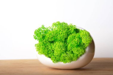 Beautiful white ceramic pot with bright green decorative moss on a white background
