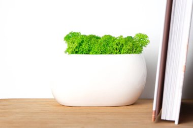 Beautiful white ceramic pot with bright green decorative moss and a stack of books on a white background. Decor element