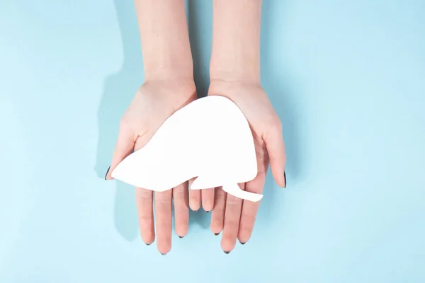 Human hold model of a human liver made of white paper on a blue background. World kidney day