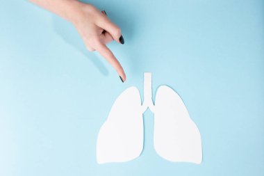 Mavi arka planda beyaz kağıt şeklinde bir insan akciğeri modeli. Akciğer sağlığı günü. Dünya Zatürree Günü