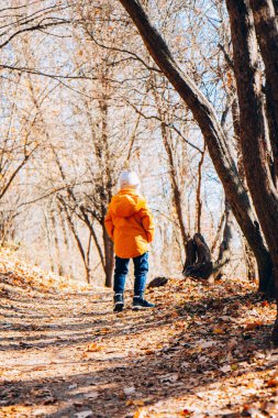 Sonbahar ormanında parlak turuncu ceketli bir çocuk, park. Doğada dinlen. Bir çocukla yürümek.