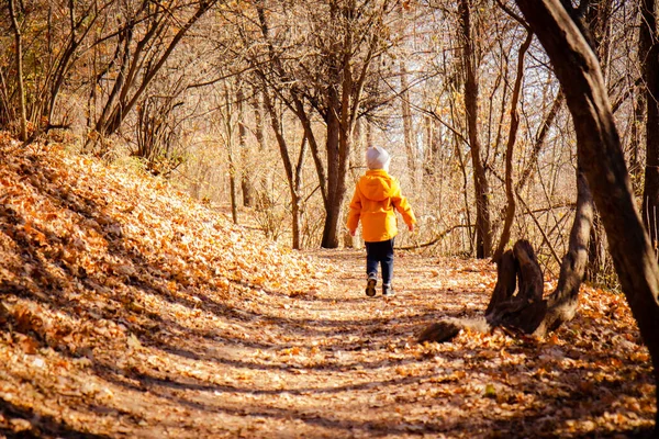 Dítě Jasně Oranžové Bundě Podzimním Lese Park Odpočívej Přírodě Procházka — Stock fotografie