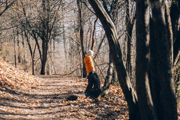 Dítě Jasně Oranžové Bundě Podzimním Lese Park Odpočívej Přírodě Procházka — Stock fotografie