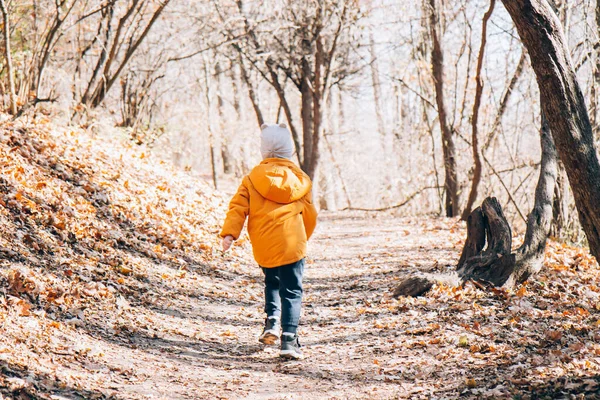 Ребенок Ярко Оранжевой Куртке Осеннем Лесу Парк Отдыхай Природе Прогулка — стоковое фото