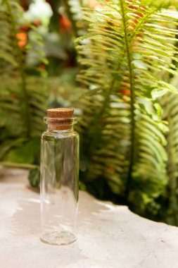 Doğal arka planda mantar kapaklı boş cam minyatür şişe. Modern eczacı konsepti