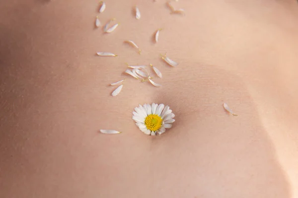 Göbeğinde Papatya Çiçeği Olan Güzel Bir Karın Mükemmel Vücut Şekli — Stok fotoğraf
